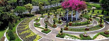 Landscaped Garden